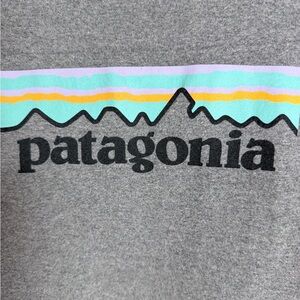 Patagonia Gray Tee with Vibrant Graphic